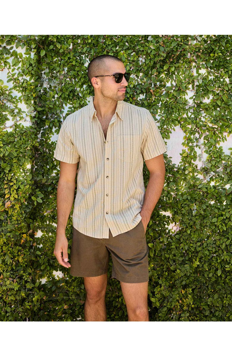 Toad & Co Fletch Shirt, Alternate, color, Salt Vertical Print