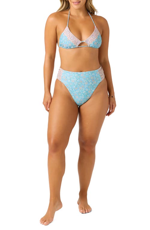 O'neill Cabella Madrid Bikini Top In Blue