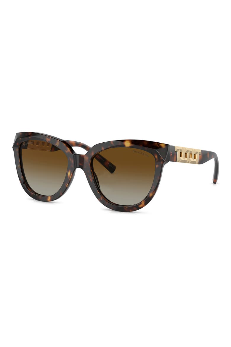 53mm Gradient Polarized Cat Eye Sunglasses, Alternate, color, HAVANA