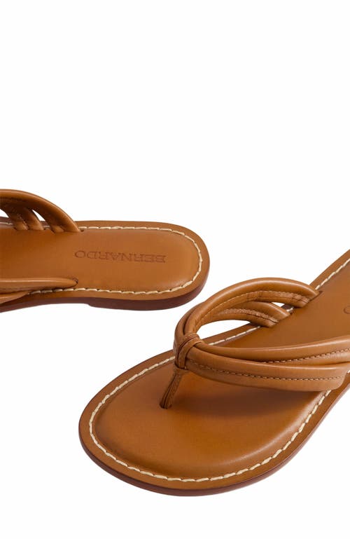 Shop Bernardo Footwear Miami Thong Sandal In Mahogany
