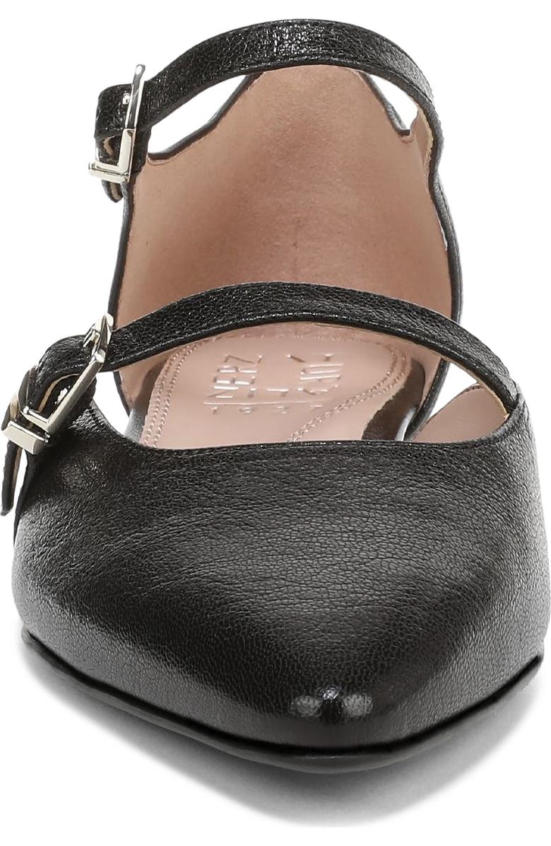 Naturalizer Harmony Ankle Strap Pointed Toe Flat, Alternate, color, Black