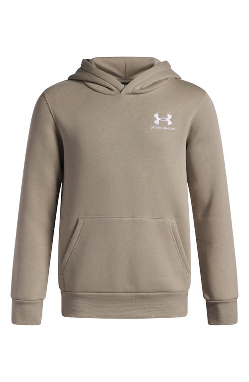 Under Armour Kids' Icon Cotton Blend Fleece Hoodie In Neutral