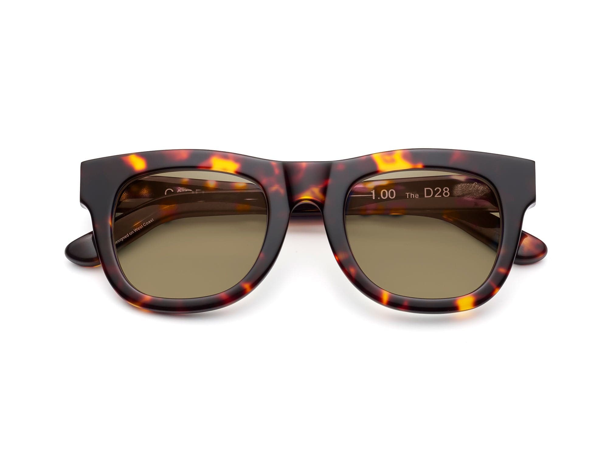 selected Turtle - Polarized Bronze