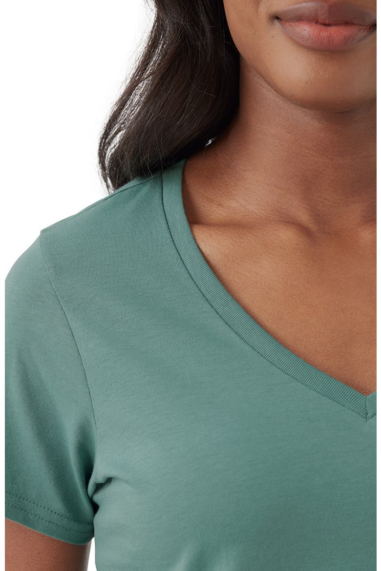 Organic Cotton Softspun V-Neck Tee, Alternate, color, Brown Sugar