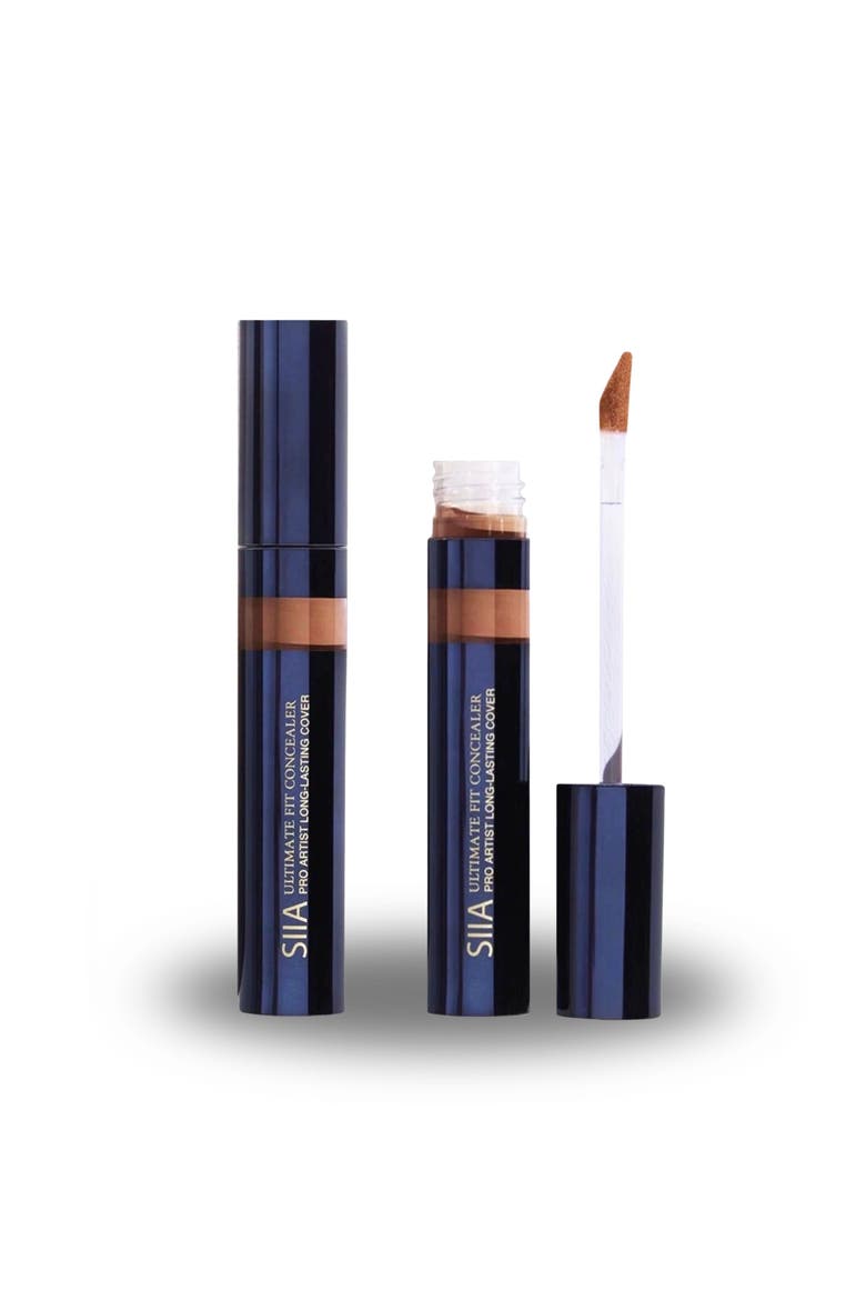 2-Pc. Ultimate Fit Concealer Duo, Main, color, Chestnut