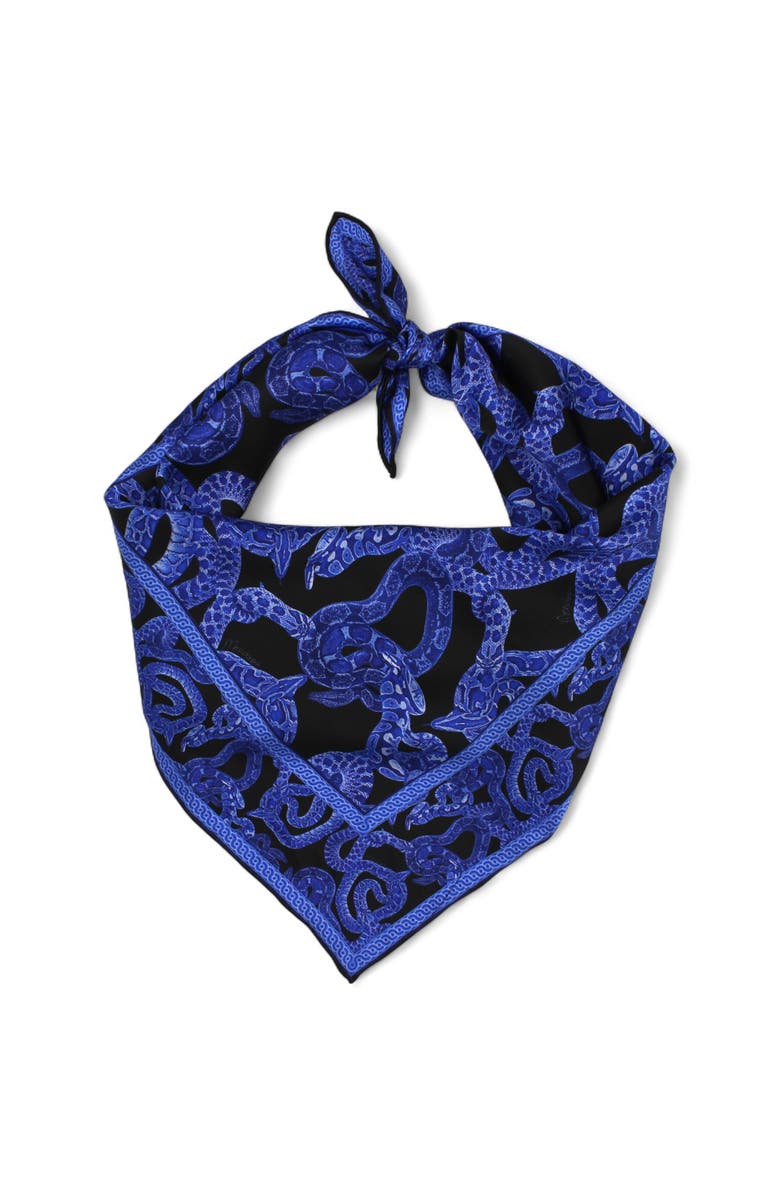 Monzlapur Silk Serpent Noir Scarf, Main, color, Electric Blue