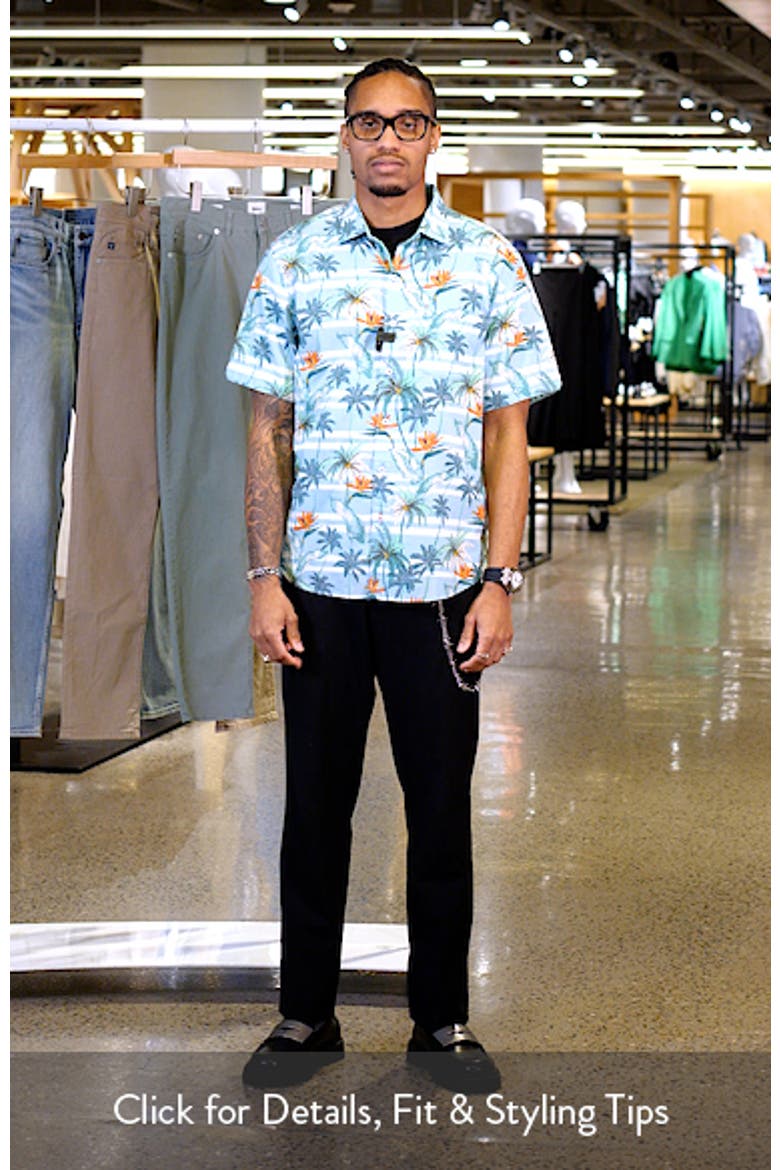 Nova Wave Palmero Stripe Floral Short Sleeve Cotton Seersucker Button-Up Shirt video
