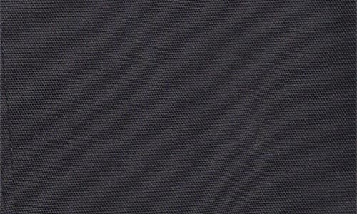 Stan Ray Double Knee Painter Pants In Black Duck