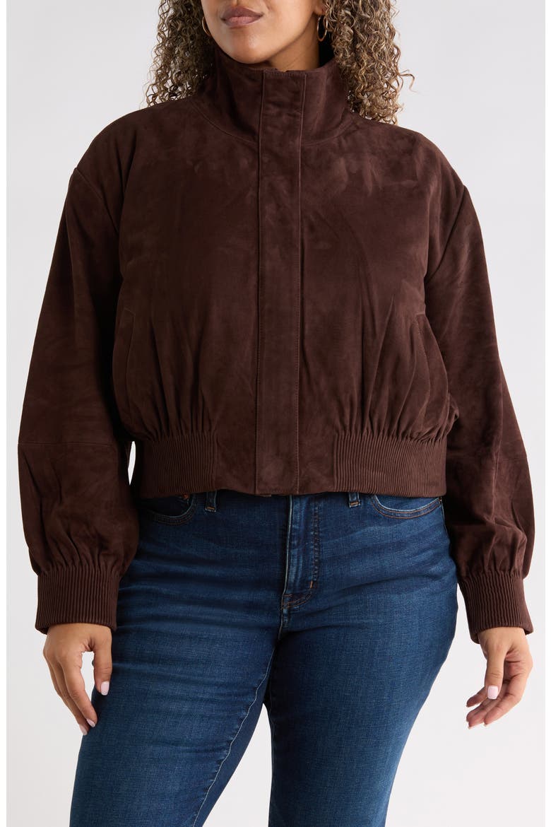 Funnel Neck Suede Bomber Jacket, Alternate, color, BROWN COFFEE