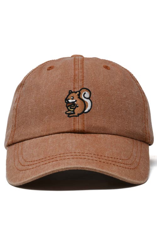 Dalix Squirrel Embroidered Outdoor Cap In Washed Orange