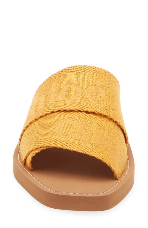 Chloé Slide Sandal In Brown