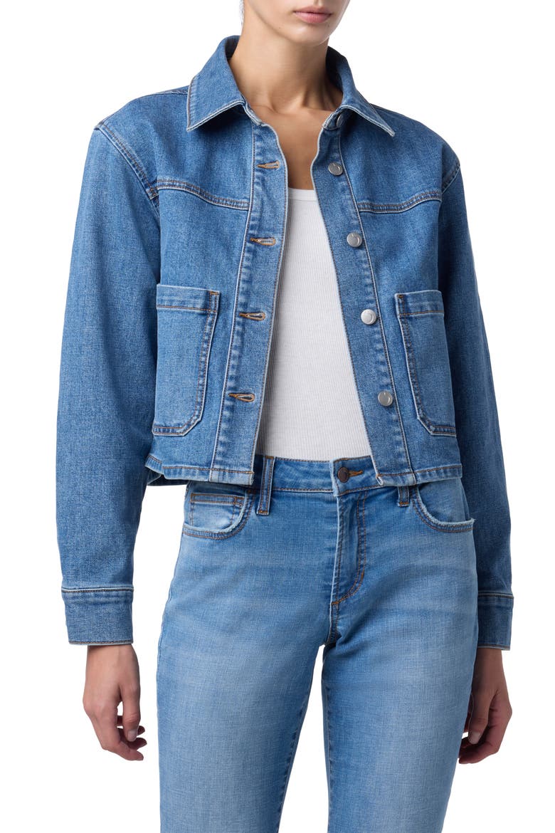Crop Denim Jacket, Alternate, color, ANITA