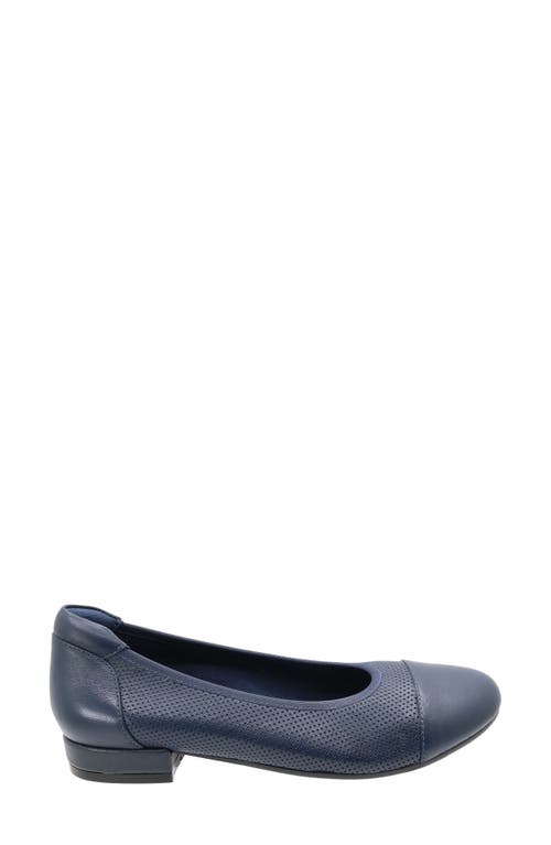 David Tate Newton Cap Toe Flat In Navy