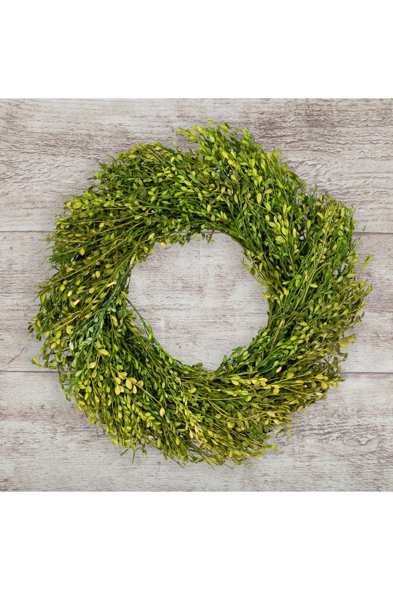 Green Foliage Artificial Spring Wreath - 20' - Unlit, Alternate, color, Green