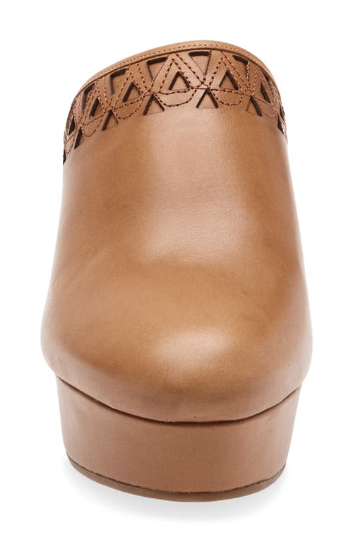 Chocolat Blu Gannet Platform Clog In Brown
