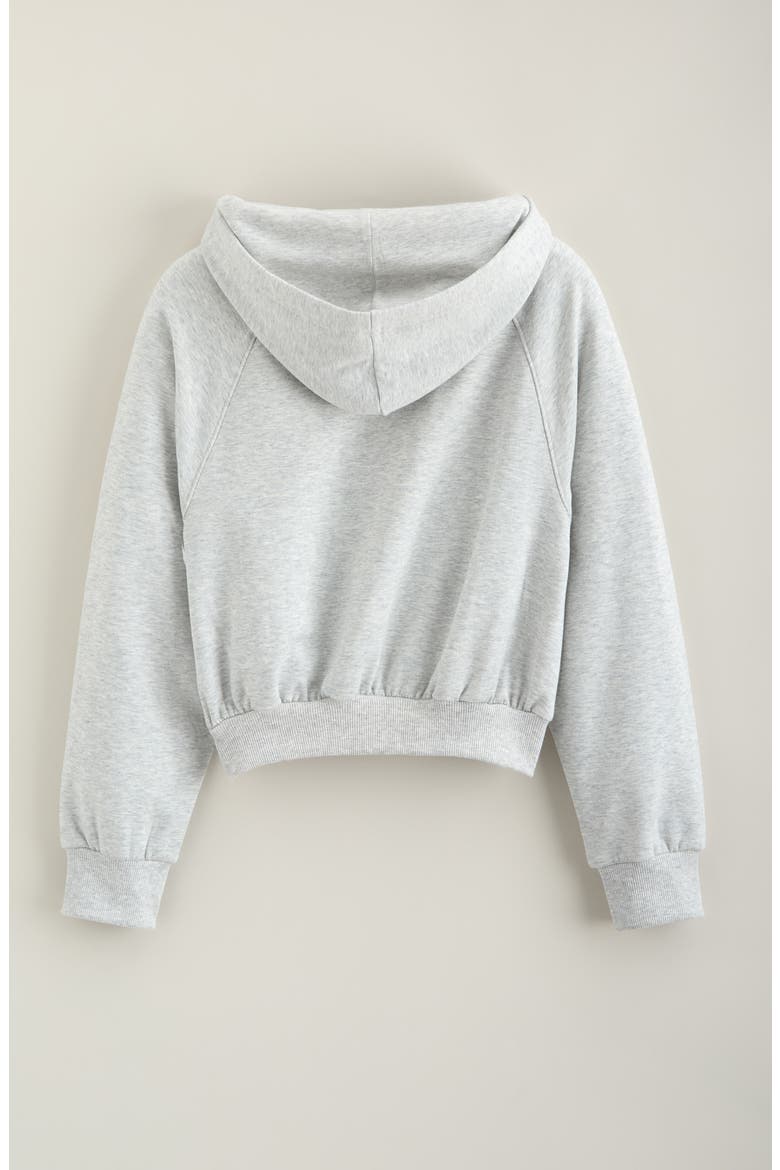Kids' Cozy Fleece Hoodie, Alternate, color, GREY LIGHT HEATHER
