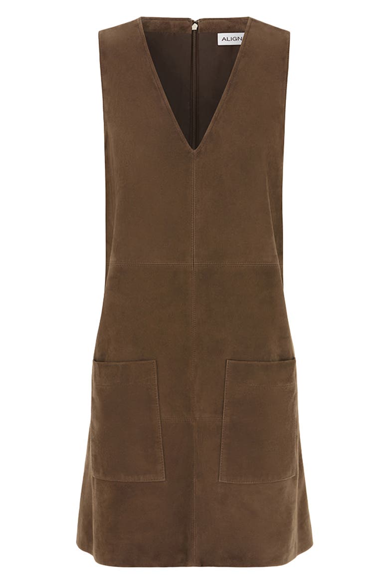Piper Sleeveless Shift Dress, Alternate, color, BROWN