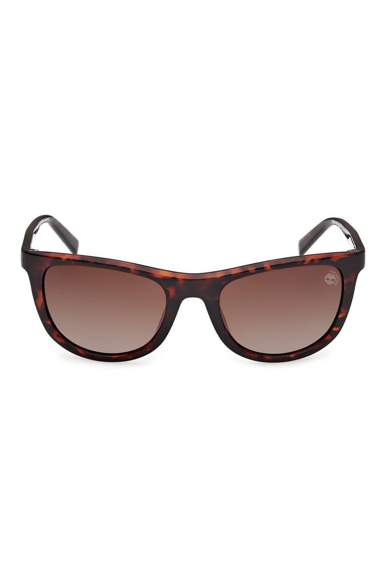 56mm Sunglasses, Main, color, DARK HAVANA / BROWN POLARIZED