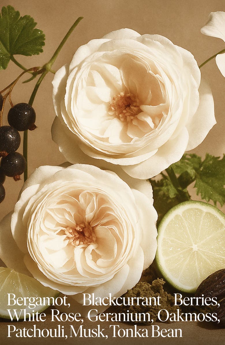 SIBLINGS No. 1 Clean Candle Starter Set, Alternate, color, White