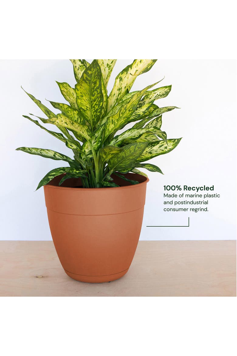 12 Inch Dayton Planter With Saucer Tray, Terra Cotta, Alternate, color, Brown