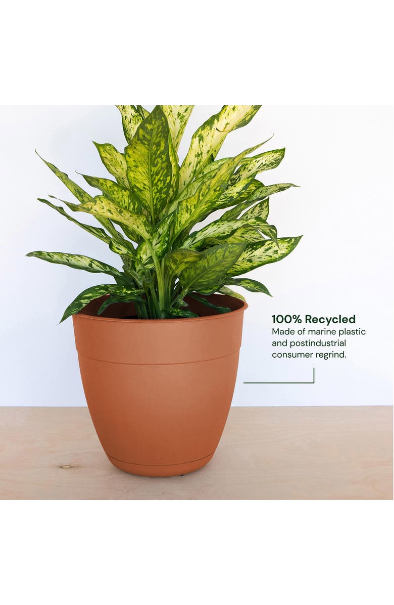 Bloem 12 Inch Dayton Planter With Saucer Tray, Terra Cotta, Alternate, color, Brown