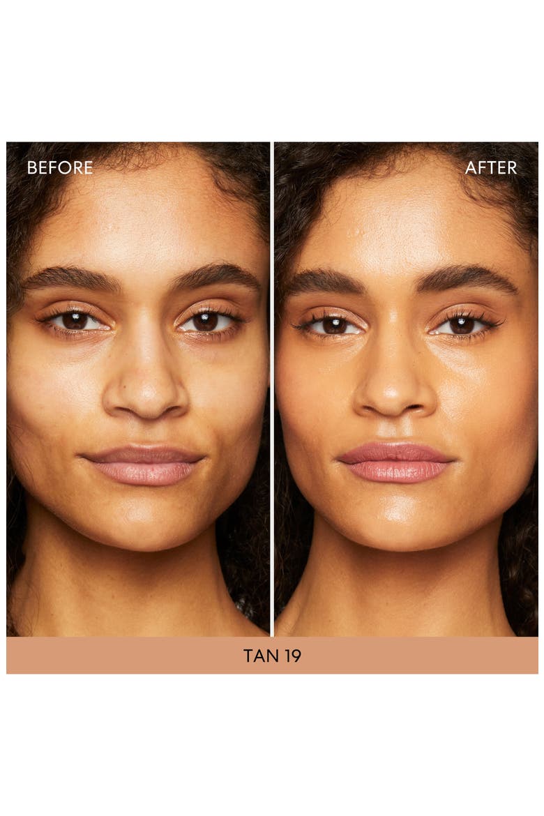 Original Mineral Liquid Foundation, Alternate, color, TAN 19