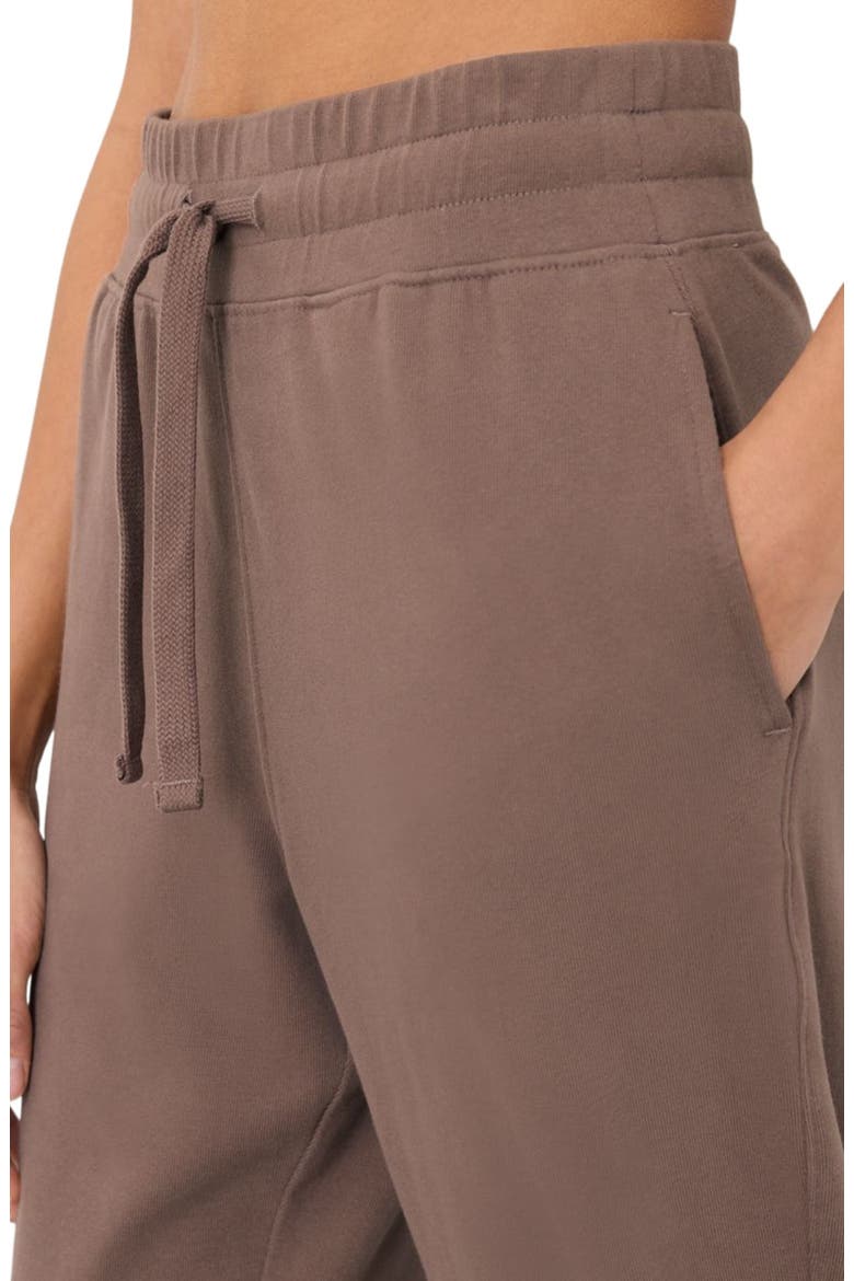 Organic Cotton CloudKnit Jogger, Alternate, color, Deep Taupe