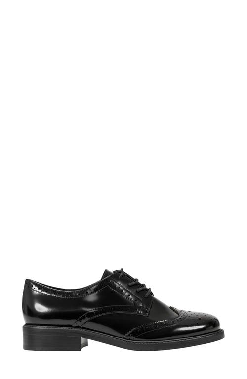 Marc Fisher Ltd Perrie Wingtip Derby In Black