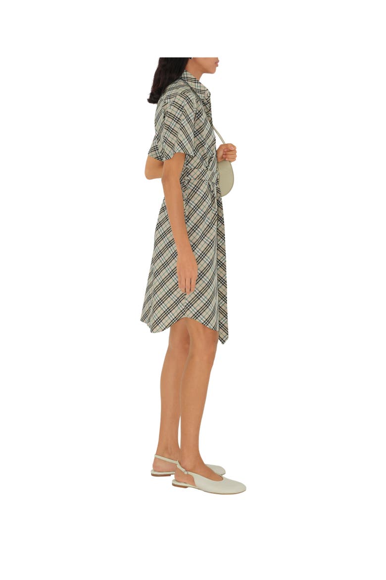 Check Cotton Shirt Dress, Alternate, color, Husk