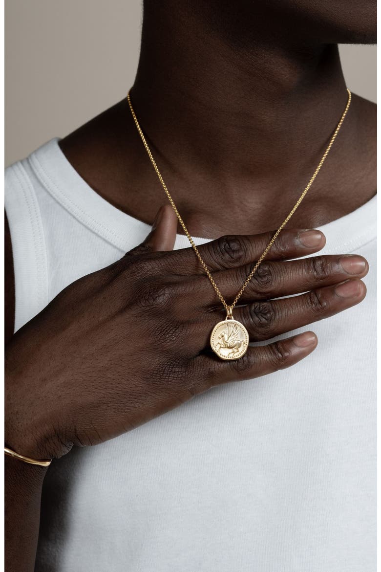 Men's 'Overcome and Thrive' Pegasus Talisman Necklace, Alternate, color, Yellow Gold Vermeil