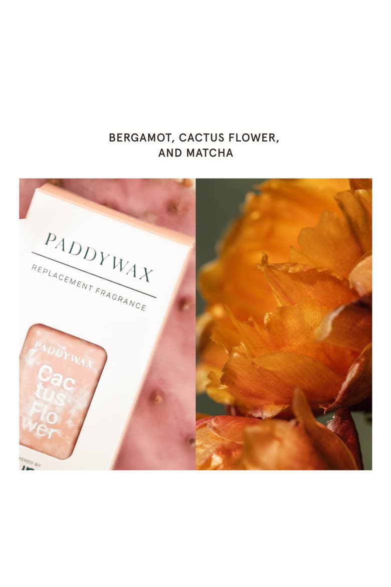 x Paddywax 2-Pack Smart Fragrance Diffuser Refills, Alternate, color, CACTUS FLOWER