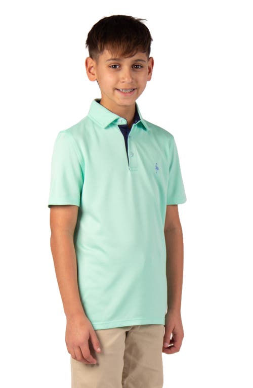 Tailorbyrd Kids' Solid Knit Polo In Green