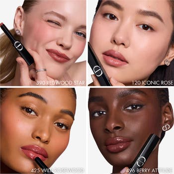 Rouge Dior On Stage Lip Stick