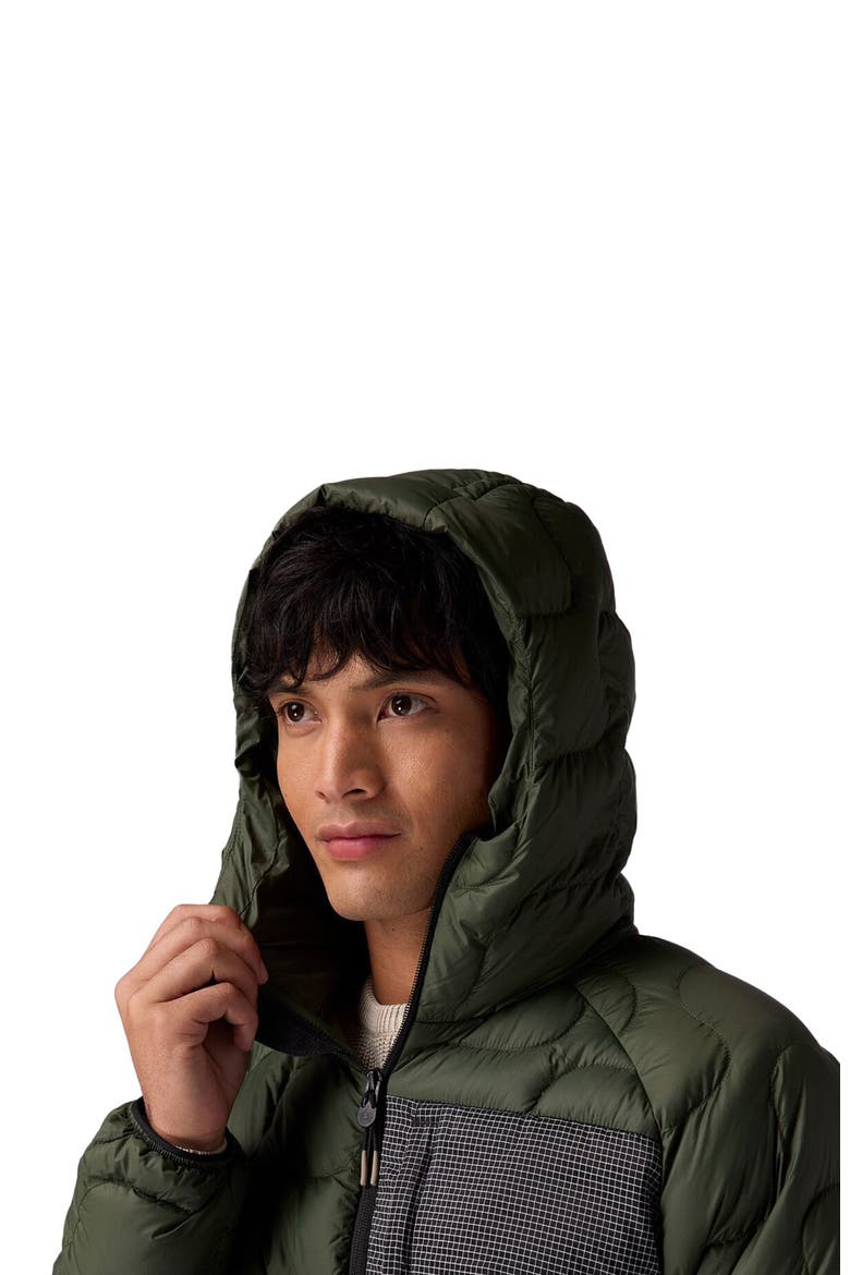 Waas Allied Down Hooded Jacket - Men's, Alternate, color, Climbing Ivy
