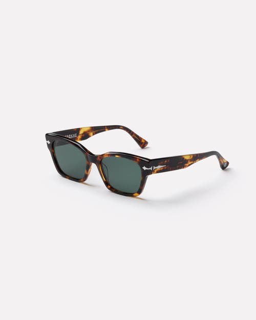 Epokhe Desire Sunglasses In Brown