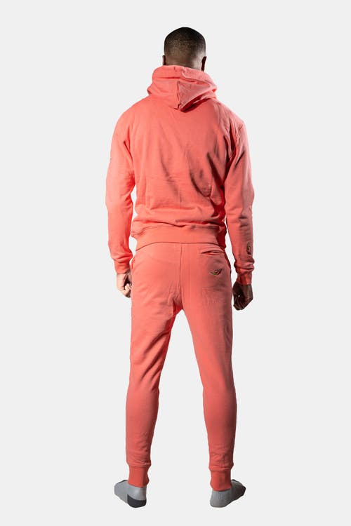 Woodpecker Unisex Cotton Sweatsuit In Orange