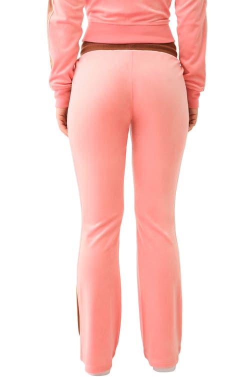 True Religion Bootcut Track Pants In Burnt Coral/carob Brown