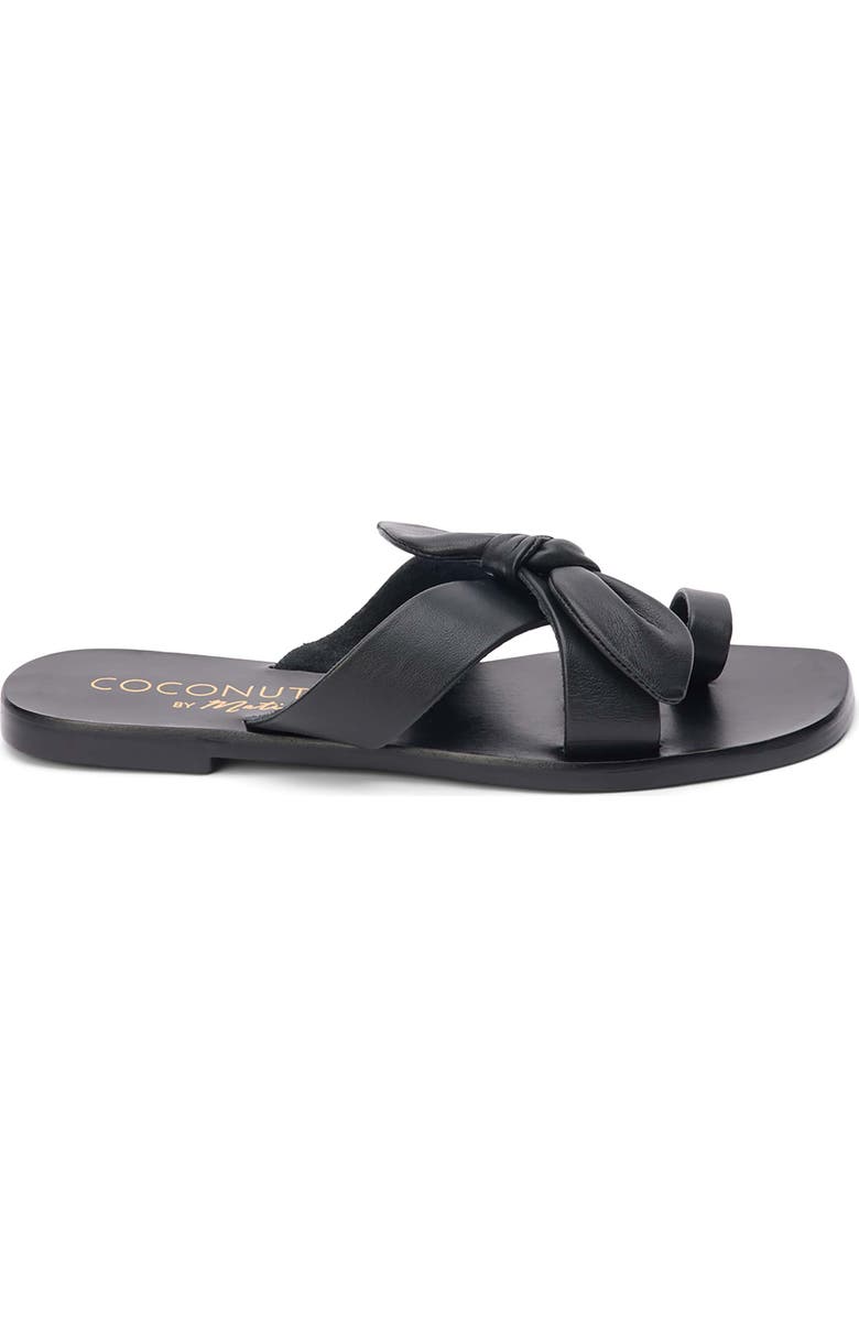 Coconuts by Matisse Vaughn Toe Loop Sandal, Alternate, color,