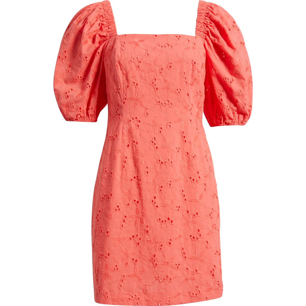 Anne Klein Cotton Eyelet Minidress In Pink