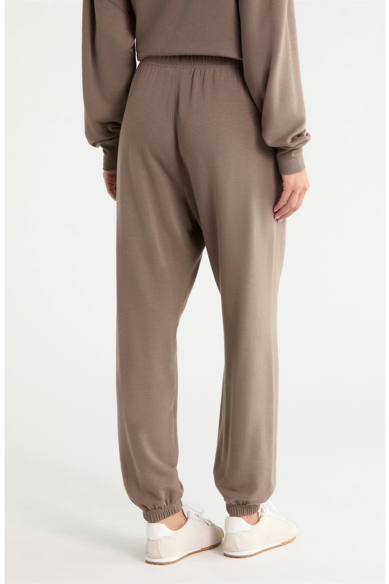 Andie Oversized Modal Fleece Sweatpants, Alternate, color, LENTIL