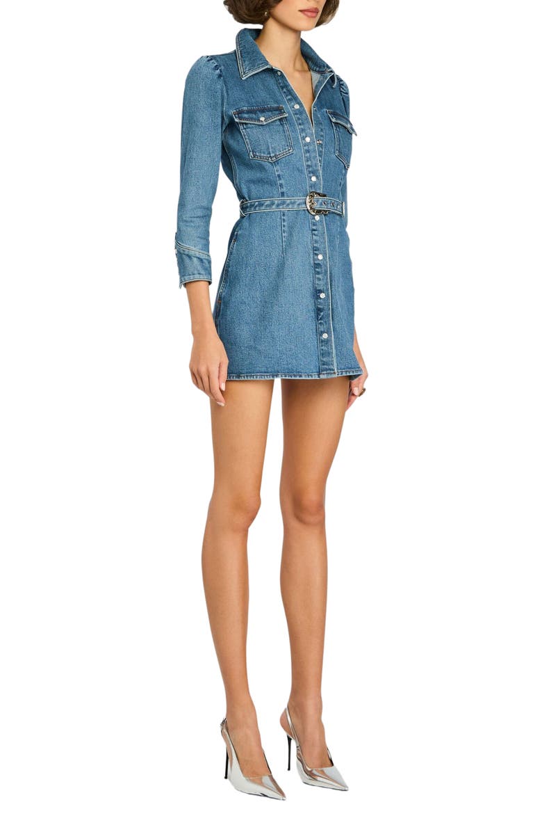 Retrofête Wiley Dress, Alternate, color, 