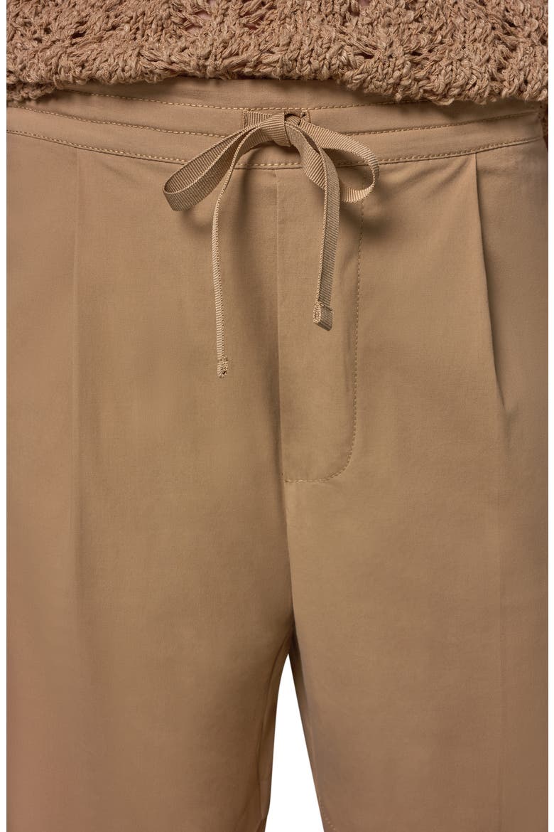 Paper Poplin Pants, Alternate, color, FAWN