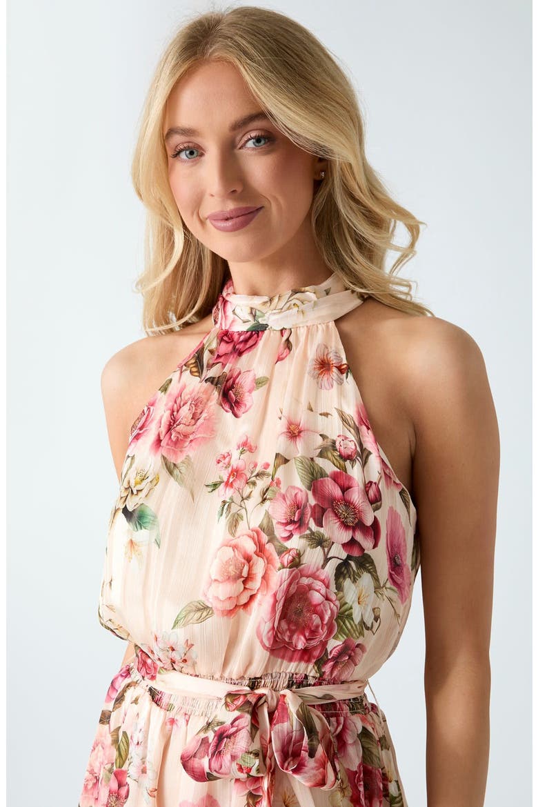 Daniele Floral Print Sleeveless Mindress, Alternate, color, FLORAL PINK