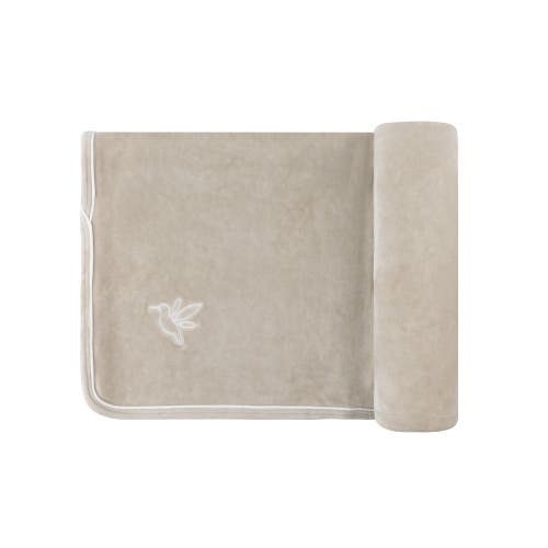 Ely's & Co. Velour Embroidered Bird & Butterfly Collection In Taupe