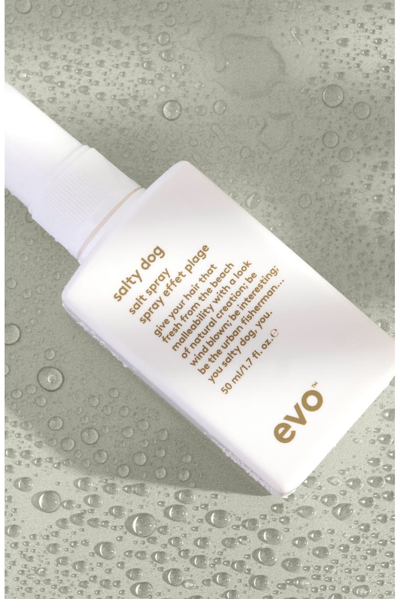 Salty Dog Salt Spray, Alternate, color, None