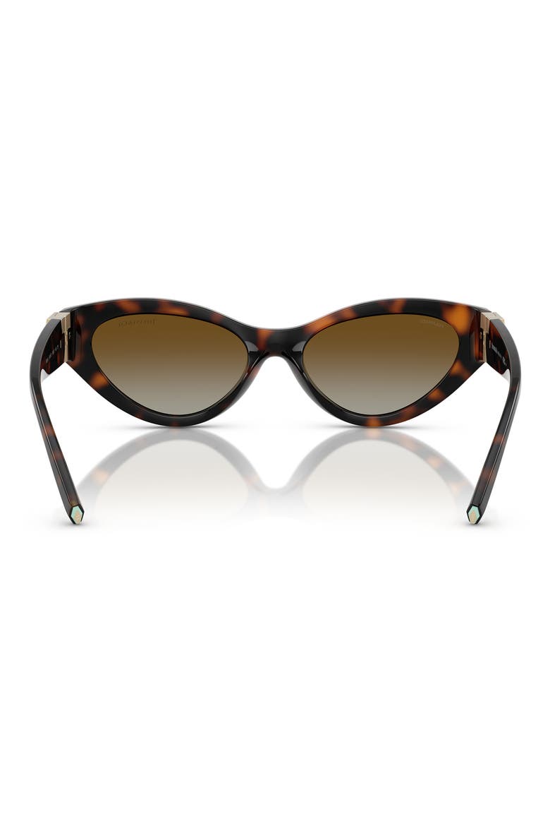 54mm Polarized Gradient Oval Sunglasses, Alternate, color, HAVANA