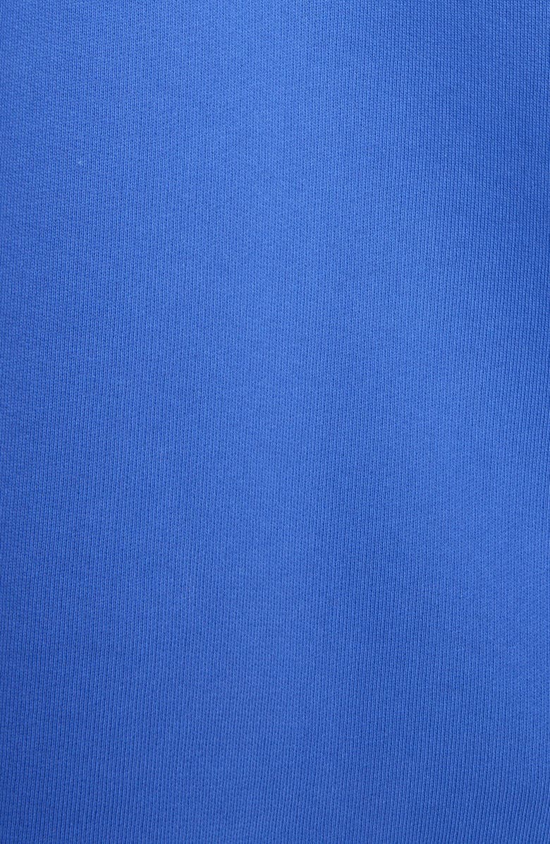 Acne Studios Farmy Chain Embossed Graphic Hoodie, Alternate, color,