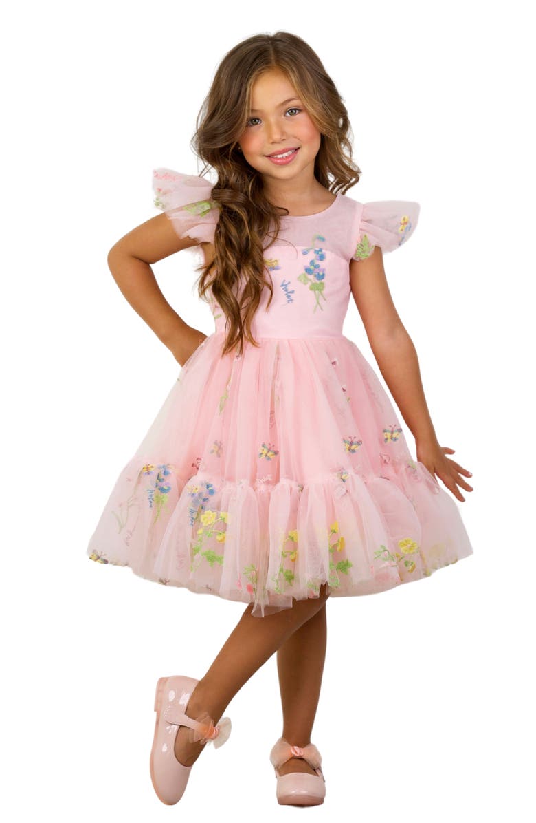 Mia Belle Girls Girls Blush Fairy Garden Embroidered Floral Tutu Dress, Main, color, Pink