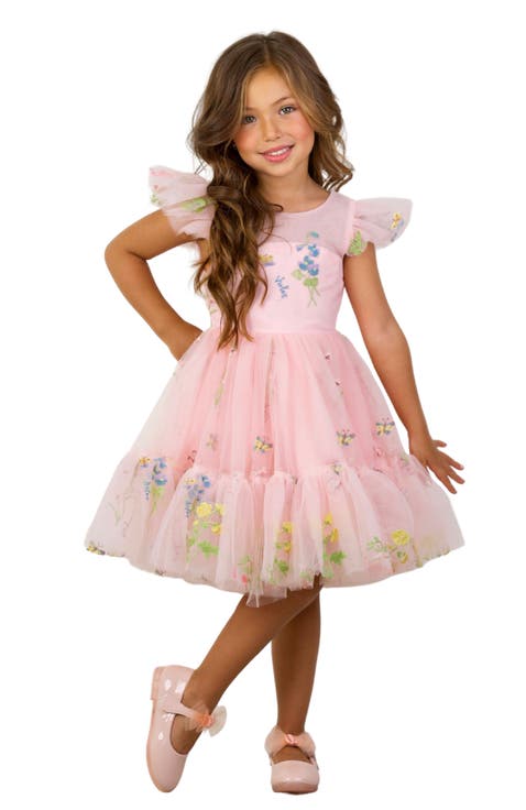 Girls Blush Fairy Garden Embroidered Floral Tutu Dress (Toddler, Little Kid & Big Kid)