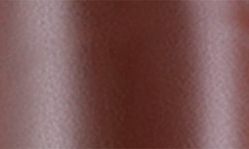 Femme La Whistler Pointed Toe Knee High Boot In Brown